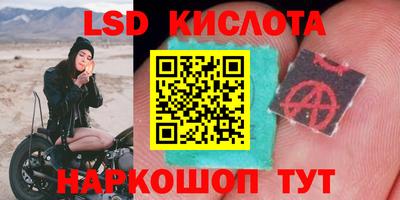 хмурый Тара