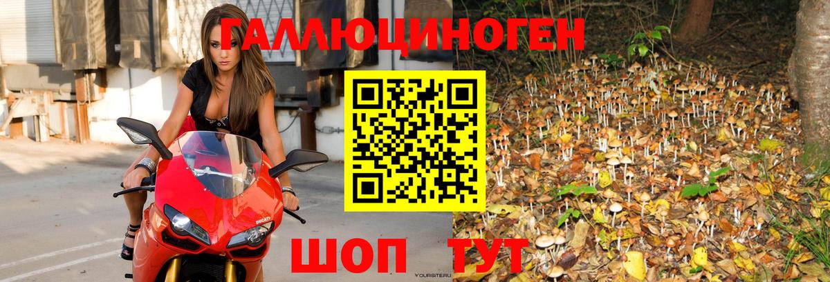 Псилоцибиновые грибы Magic Shrooms Муравленко